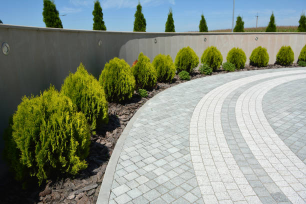 Best Local Driveway Pavers  in Northchase, NC